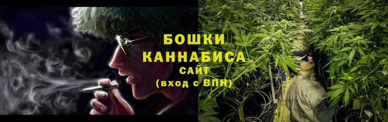 Канабис White Widow  купить   Дзержинский 